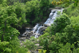 Albion Falls