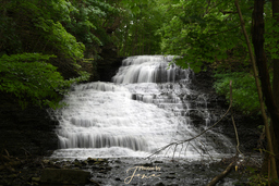 Stephanie Falls